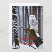 雪の不思議の国に賢きフクロウ シーズンカード (正面/裏面)