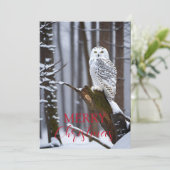 雪の不思議の国の賢いフクロウ シーズンカード (スタンド正面)