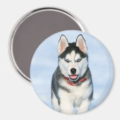 雪の中でかわいいシベリアのハスキー犬 マグネット (正面/裏面)
