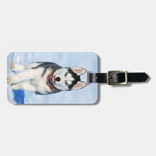 雪の中でかわいいシベリアのハスキー犬 ラゲッジタグ (正面横)