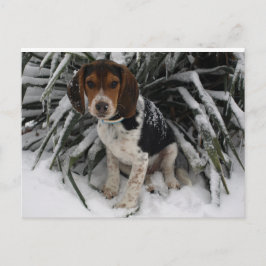 雪の中でかわいいスヌーピーのビーグルの子犬 ポストカード