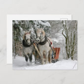 雪の中でそりを引く2頭の白い馬 ポストカード (正面/裏面)