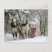 雪の中でそりを引く2頭の白い馬 ポストカード (正面)