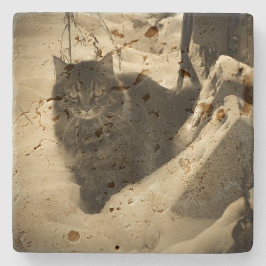 雪の中でぶつぶつ言うエンジェル猫 ストーンコースター (正面)