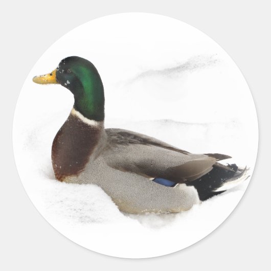 雪の中でアヒル ラウンドシール (正面)