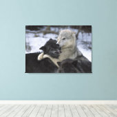 雪の中でアメリカ、モンタナ遊、オオカミ キャンバスプリント (インサイチュ (ウッドフロア))