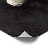 雪の中でアメリカ、モンタナ遊、オオカミ ポスター (角)