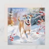 雪の中でウィペット犬の歩くメリークリスマス シーズンカード (正面/裏面)