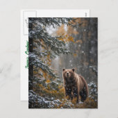 雪の中でクマのクリスマス季節のごあいさつ シーズンポストカード (正面/裏面)