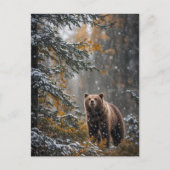 雪の中でクマのクリスマス季節のごあいさつ シーズンポストカード (正面)