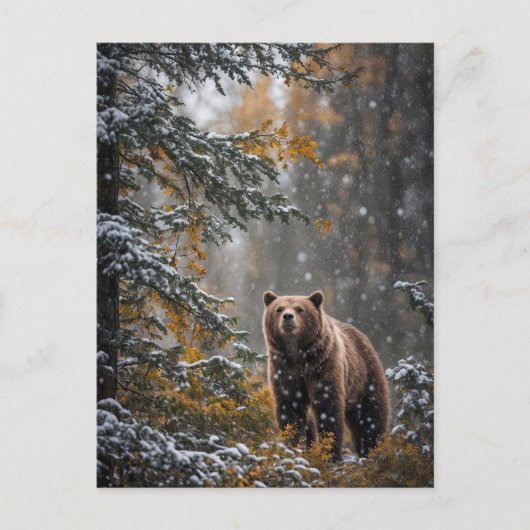 雪の中でクマのクリスマス季節のごあいさつ シーズンポストカード (正面)