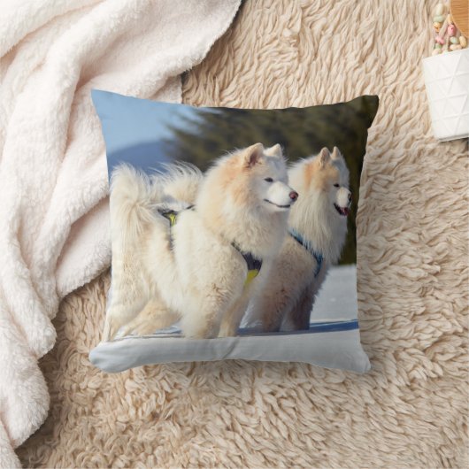 雪の中でサモイドの犬 クッション (ブランケット)
