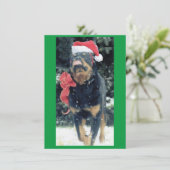 雪の中でサンタハット、レッドボウ付きクリスマスロットワイラー 招待状 (スタンド正面)