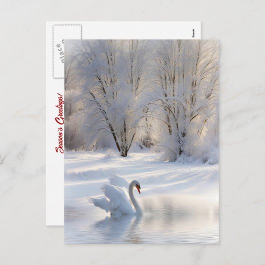 雪の中でシーズンのあいさつクリスマスの白鳥 シーズンポストカード (正面/裏面)