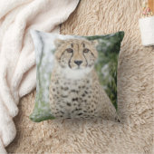 雪の中でチーズ クッション (ブランケット)