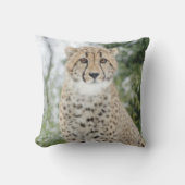 雪の中でチーズ クッション (正面)