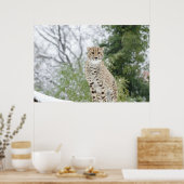 雪の中でチーズ ポスター (キッチン)