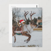 雪の中でトナカイを飛び跳ねる愛らしいサンタリス ポストカード (正面/裏面)