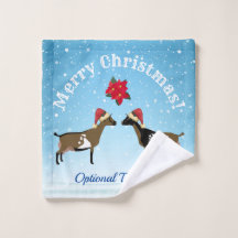 雪の中でナイジェリア矮乳乳製品ヤギのクリスマス