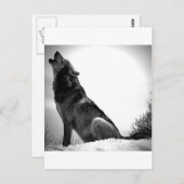 雪の中でハウリングオオカミ ポストカード (正面/裏面)