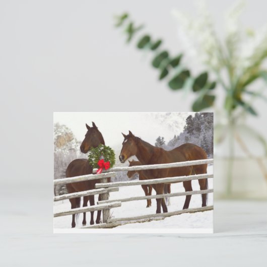 雪の中でフェンス越しに見える馬 シーズンポストカード (スタンド正面)