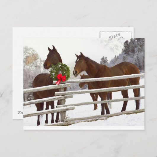 雪の中でフェンス越しに見える馬 シーズンポストカード (正面/裏面)