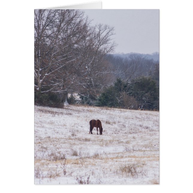 雪の中で一人で (正面)