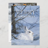 雪の中で休むスノーシューうさぎ シーズンカード (正面/裏面)
