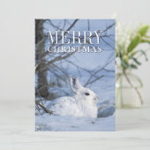 雪の中で休むスノーシューうさぎ シーズンカード (スタンド正面)