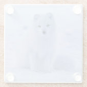 雪の中で休む美しいアイスランド北極キツネ ガラスコースター (裏面)
