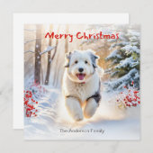 雪の中で古い英国のシェプドッグ犬メリークリスマス シーズンカード (正面/裏面)