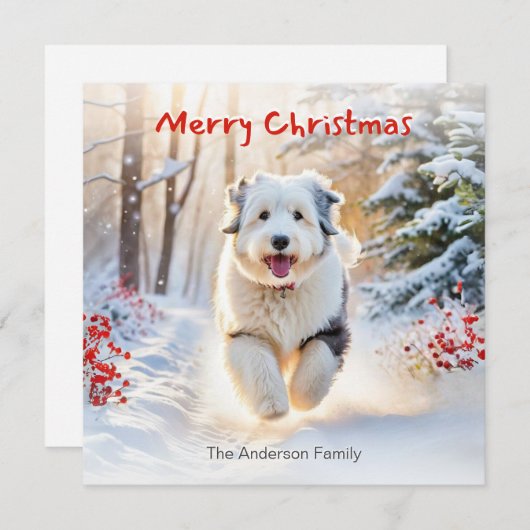 雪の中で古い英国のシェプドッグ犬メリークリスマス シーズンカード (正面/裏面)