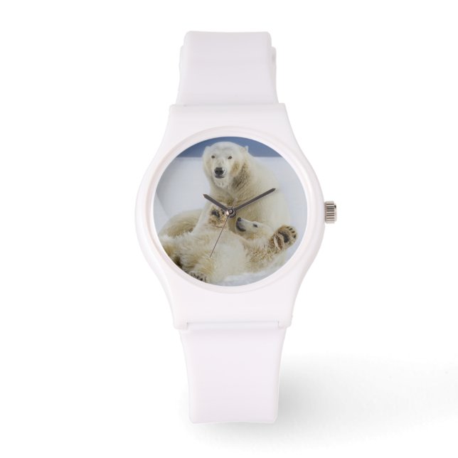 雪の中で女のホッキョクグマと遊その子の赤ちゃん 腕時計 (正面)