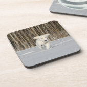 雪の中で白ゴールデンレトリバーの子犬 コースター (左側)