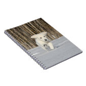 雪の中で白ゴールデンレトリバーの子犬 ノートブック (右側)