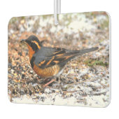 雪の中で美しい多彩なツグミの鳴鳥 カーエアーフレッシュナー (左)