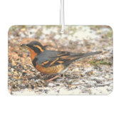 雪の中で美しい多彩なツグミの鳴鳥 カーエアーフレッシュナー (正面)