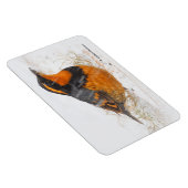 雪の中で美しい多彩なツグミの鳴鳥 マグネット (右側)