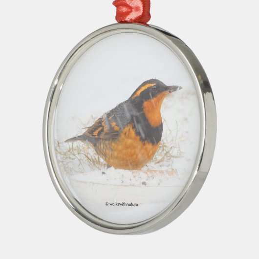 雪の中で美しい多彩なツグミの鳴鳥 メタルオーナメント (左)