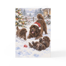 雪の中で遊ぶニューファンドランドの仔犬たち ポストカード