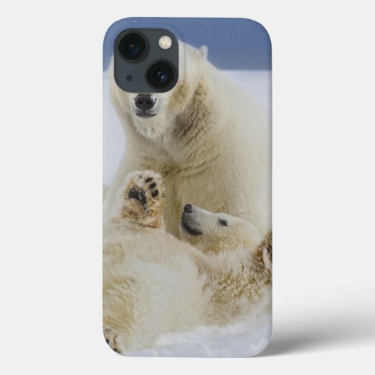 雪の中で遊ぶメスのホッキョクグマとその子 Case-Mate iPhoneケース (裏面)