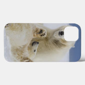 雪の中で遊ぶメスのホッキョクグマとその子 Case-Mate iPhoneケース (裏面 (横))