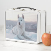 雪の中で魅惑的な白いハスキー犬 メタルランチボックス (インサイチュ)