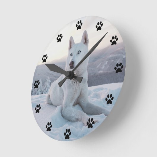 雪の中で魅惑的な白いハスキー犬 ラウンド壁時計 (傾斜)