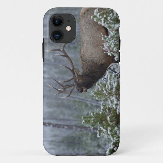 雪の中で鳴くワピチ、バギング、イエローストーン Case-Mate iPhoneケース (裏面)