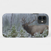 雪の中で鳴くワピチ、バギング、イエローストーン Case-Mate iPhoneケース (裏面(横))