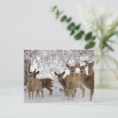 雪の中で鹿をラッパで鳴らす シーズンポストカード (スタンド正面)