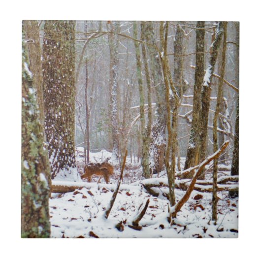 雪の中で鹿、脚をなめる タイル (正面)