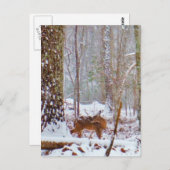 雪の中で鹿、脚をなめる ポストカード (正面/裏面)