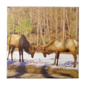 雪の中で2～2ブルエルク タイル (正面)